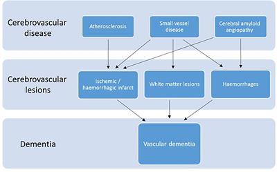 Tubulin and Tubulin Posttranslational Modifications in Alzheimer’s Disease and Vascular Dementia